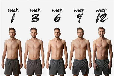 adidas 12 week body transformation plan|12 month body transformation plan.